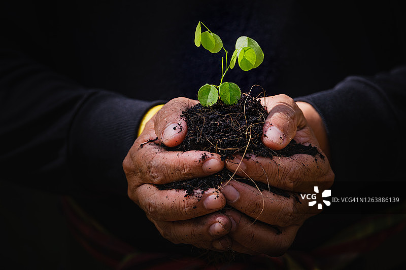 手持植物幼苗特写：呵护环境图片素材