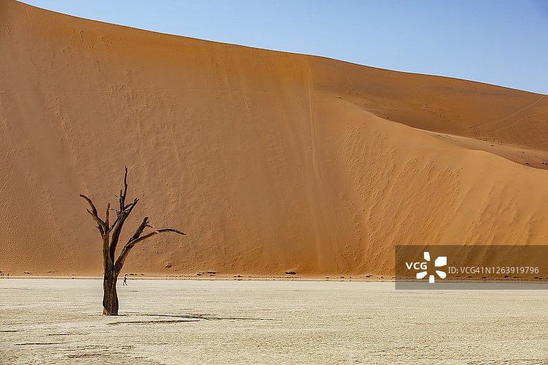 非洲纳米比亚死亡谷：风景如画的沙漠景观。图片素材