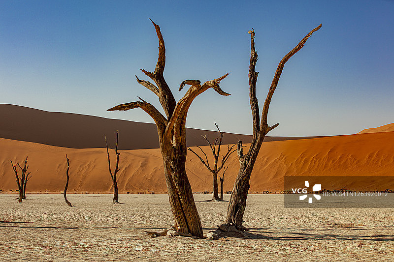 沙漠风光图片素材