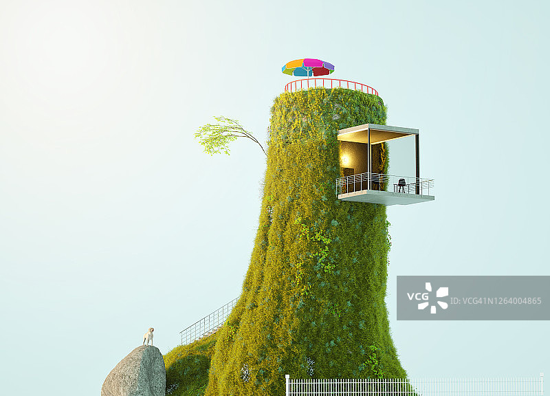 树木的生命图片素材