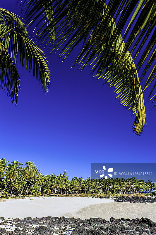 科摩罗加拉瓦海滩图片素材