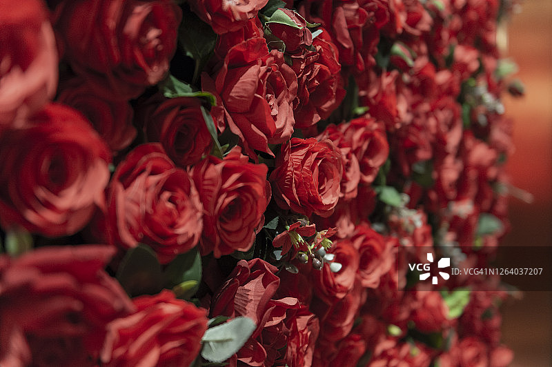 永生玫瑰花图片素材