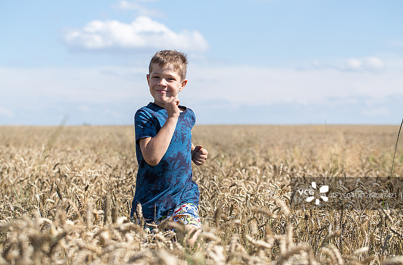 小男孩穿过麦田图片素材