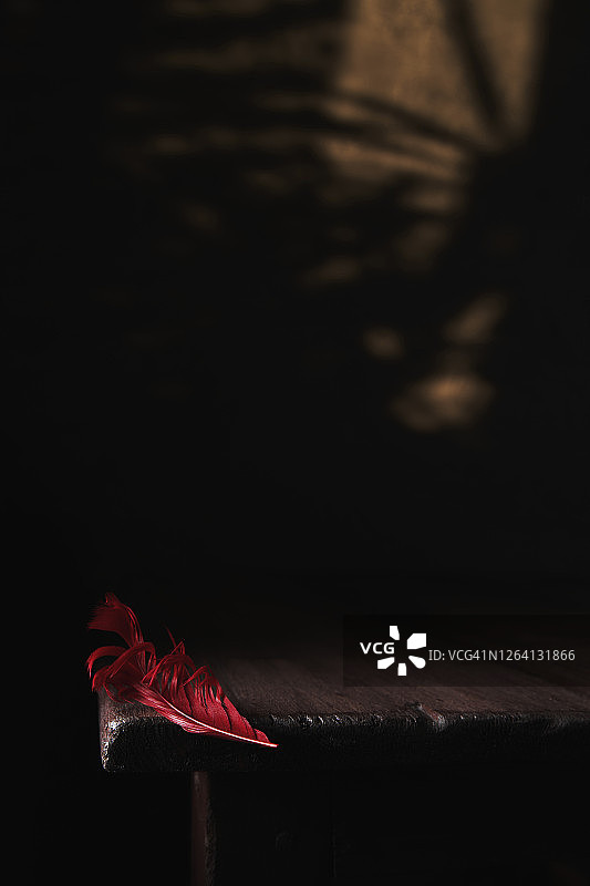 弱光静物，红色羽毛与墙面阳光反光图片素材