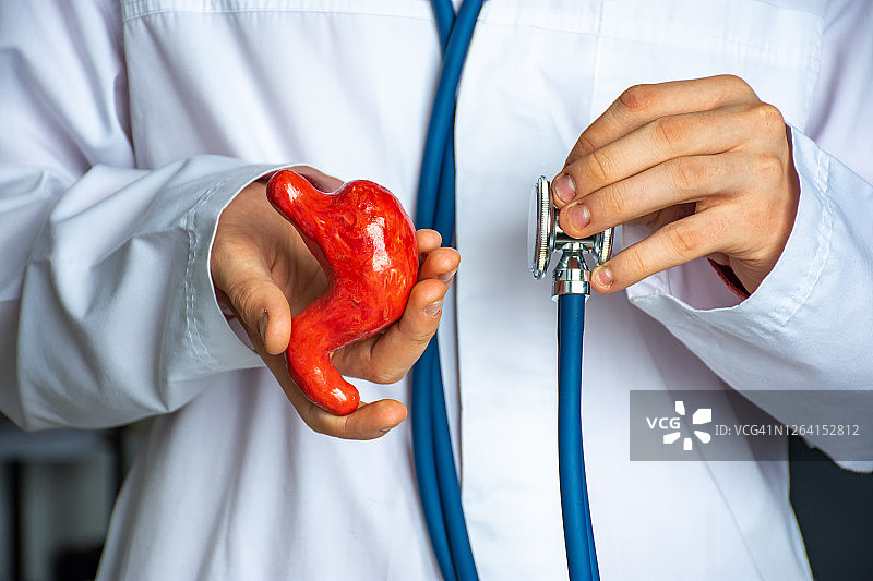 胃肠病学诊断概念图：医生手持胃模型和听诊器图片素材