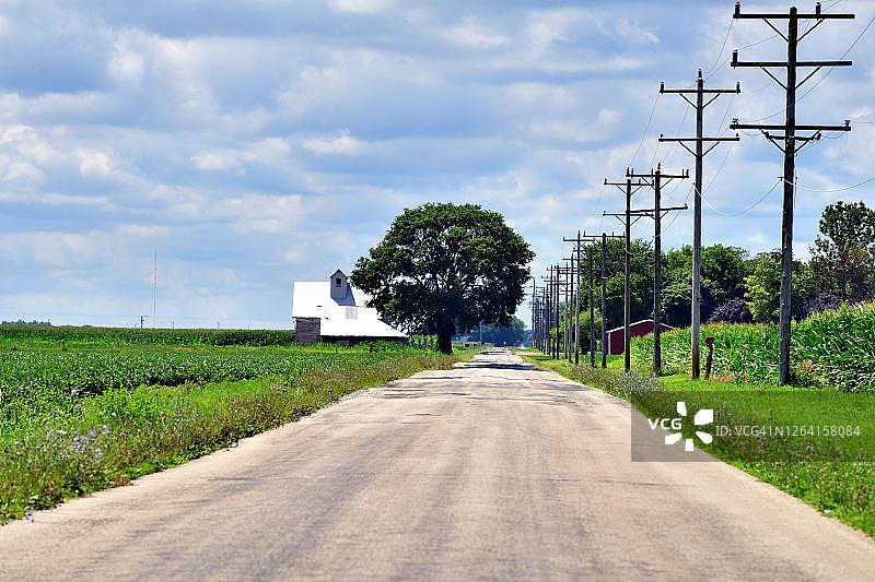 农田中的乡村道路图片素材
