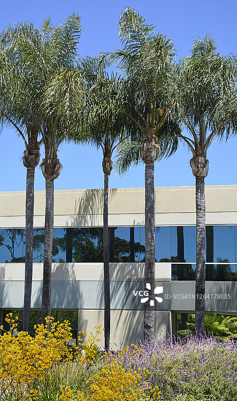 有棕榈树和鲜花的建筑物局部图片素材