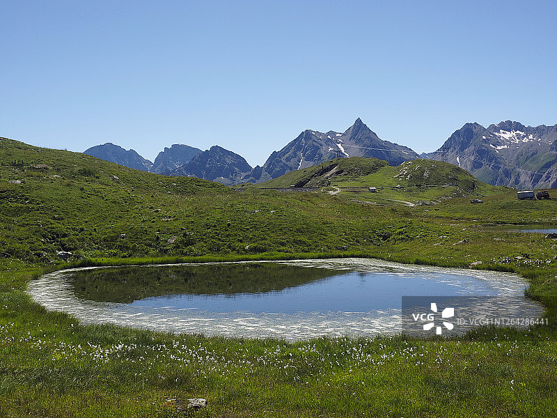 莱蓬廷阿尔卑斯山与高山池塘和狭叶黑三棱景观图片素材
