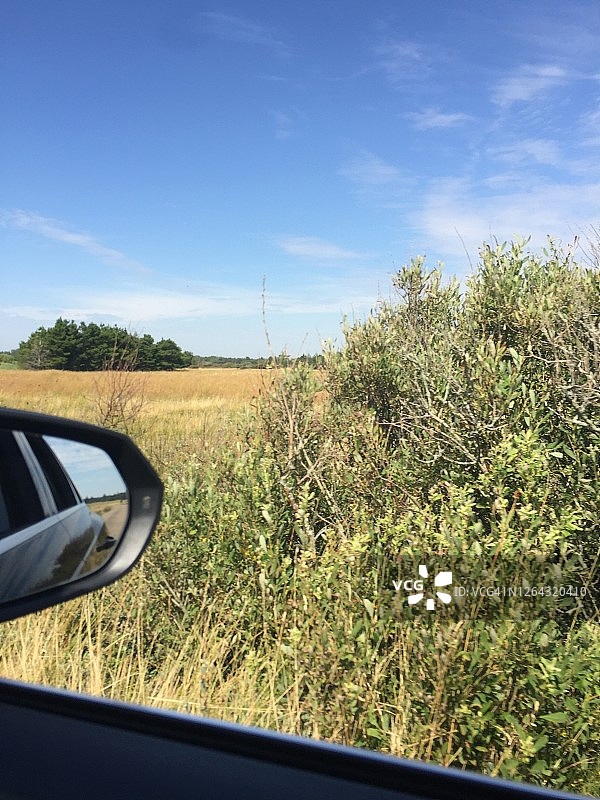 绿色道路图片素材