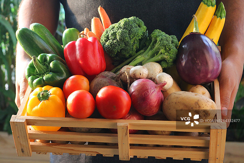 装满水果和蔬菜的木箱特写，包括土豆、红洋葱、西红柿、蘑菇、黄色、绿色和红色甜椒、甜菜根、茄子、西葫芦、西兰花、胡萝卜和黄瓜图片素材