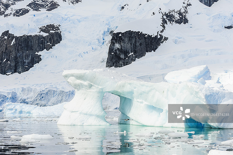 南极洲天堂港图片素材