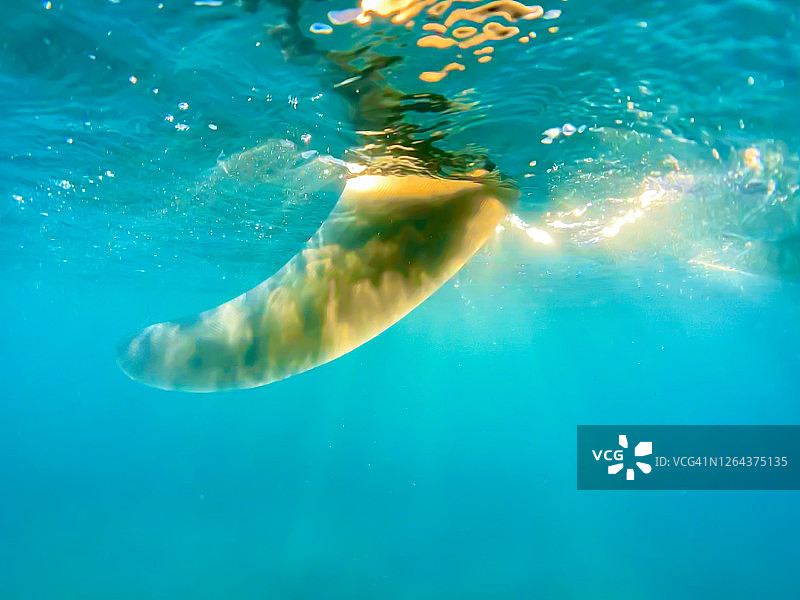 突破水面图片素材