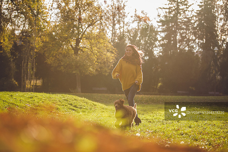 宠物主人在公园里和她的红色标准贵宾犬一起跑步图片素材