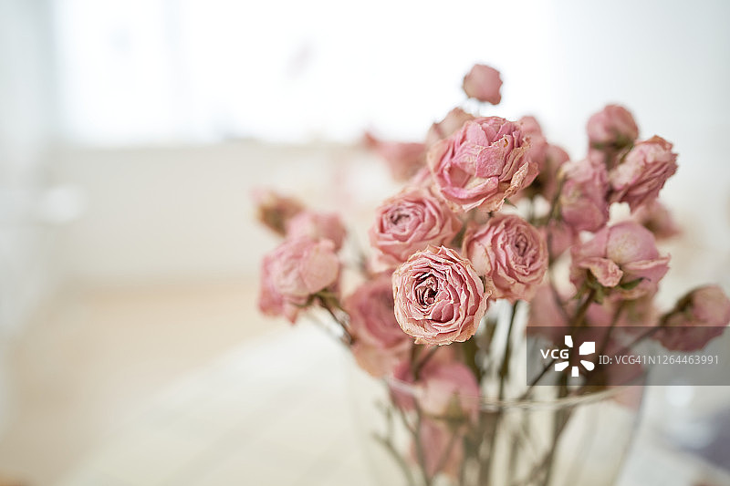 花瓶中的花图片素材