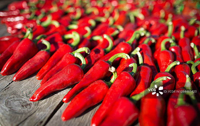 卡宴辣椒图片素材