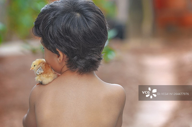 男孩和他的小鸡图片素材