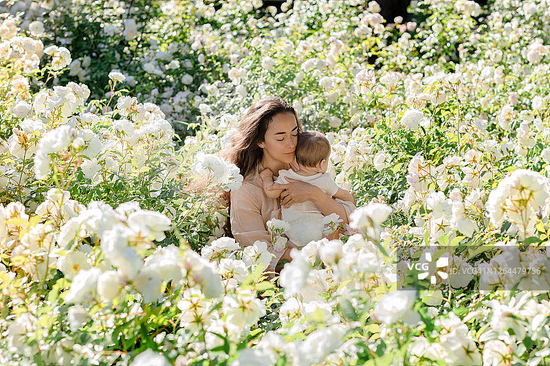 夏日田野，年轻母亲与女婴拥抱图片素材