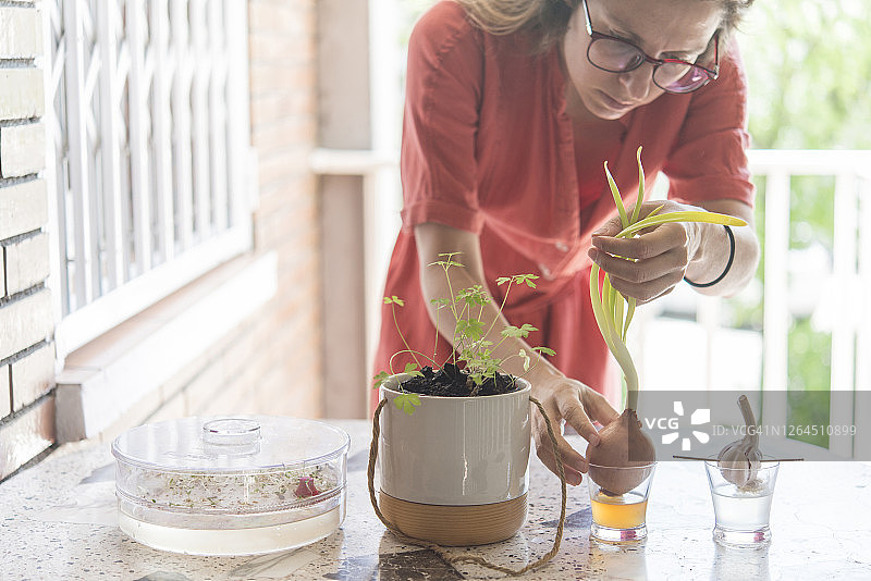 中年妇女在阳台的桌子上种植食物图片素材