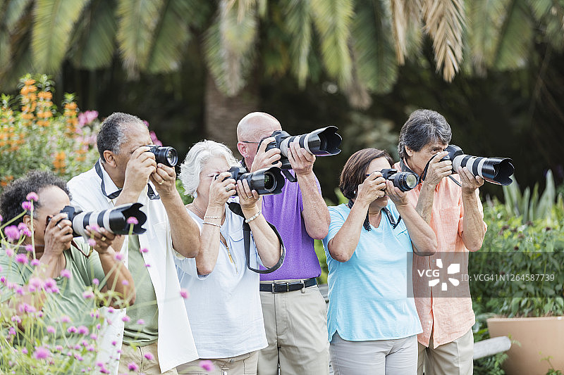 老年人旅行团合影图片素材