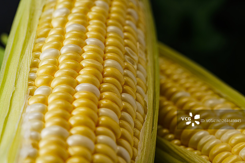 深色背景上的成熟玉米粒图片素材