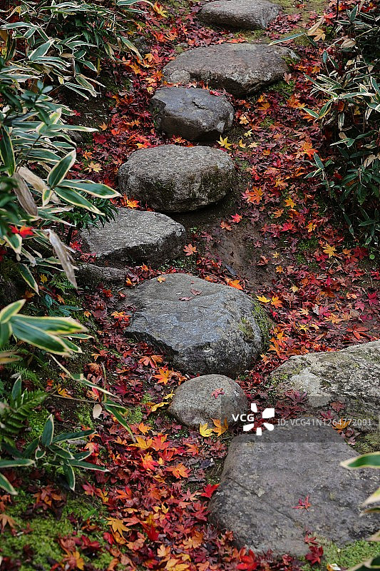 京都茶园的飞石和落叶图片素材