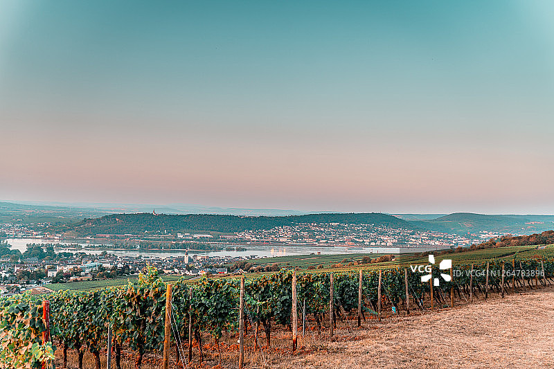 莱茵河畔吕德斯海姆图片素材