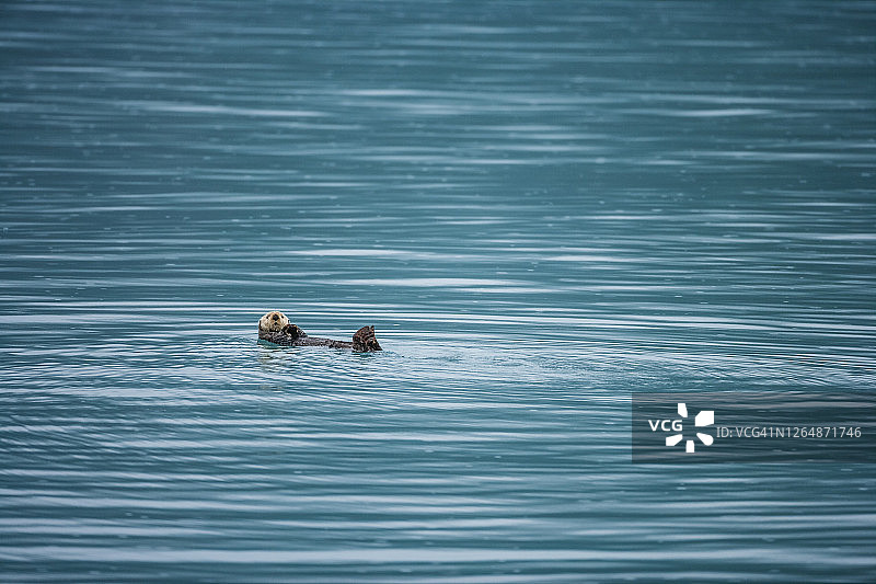 美国阿拉斯加州图片素材