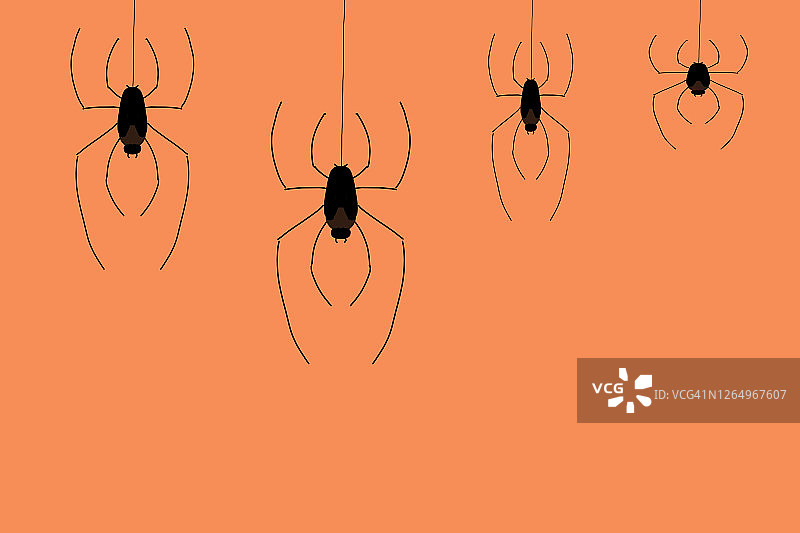 万圣节蜘蛛插画图片素材