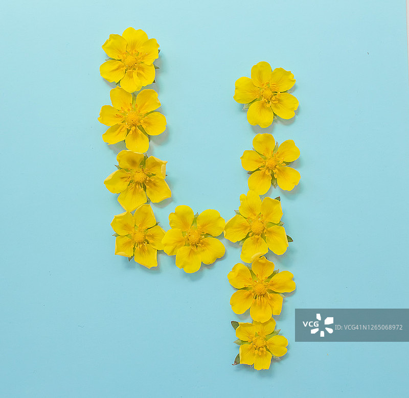 蓝色背景上的黄色鲜花数字4图片素材