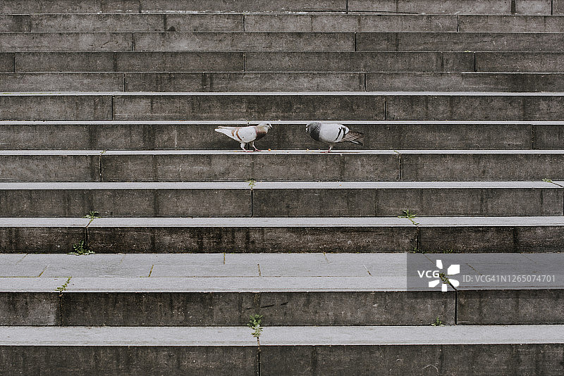 公园里的楼梯图片素材