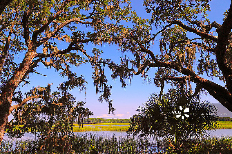低地沼泽图片素材