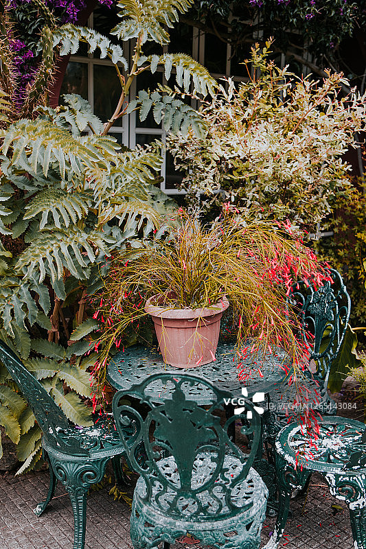 后院花园的桌椅家具图片素材