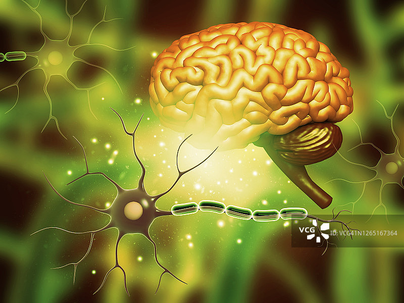 带神经细胞的人脑图片素材