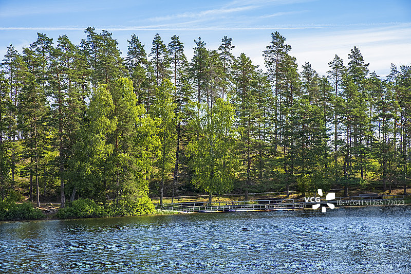林地湖岸码头图片素材