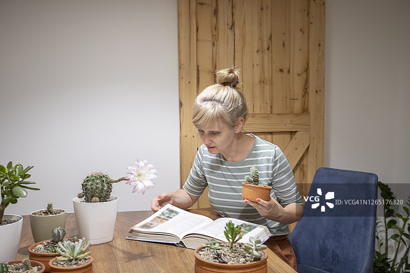 从百科全书学习图片素材