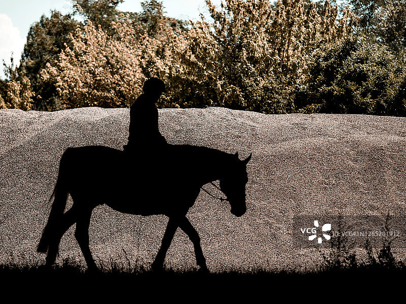 沙坑背景上的骑手剪影图片素材