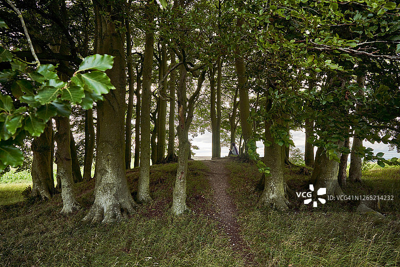 一位女士坐在埃夫伯里土墩的榉树下图片素材
