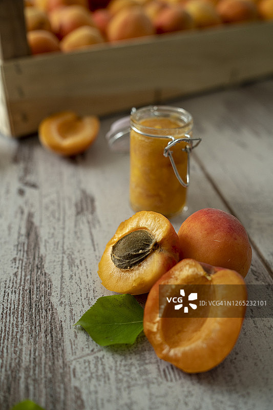 杏子小时图片素材