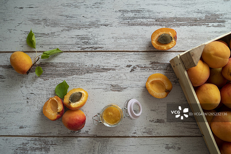 杏子小时图片素材