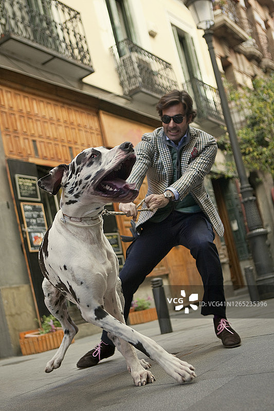 男人在城市里遛达尔马提亚犬图片素材