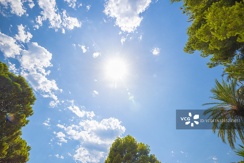 阳光灿烂的日子图片素材