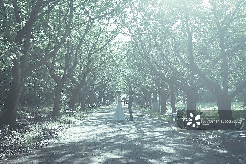 森林中的亚洲新娘与新郎图片素材