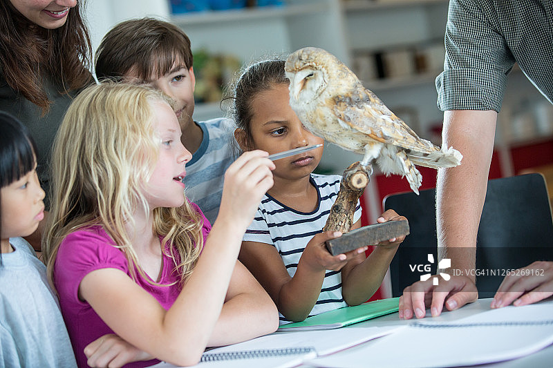 学校或夏令营的多民族儿童群体。图片素材