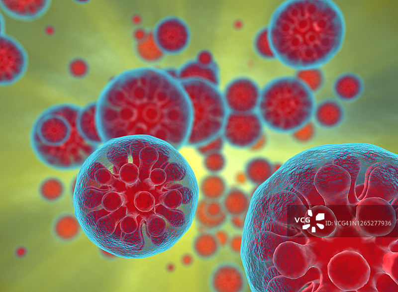 荚膜组织胞浆菌孢子示意图图片素材