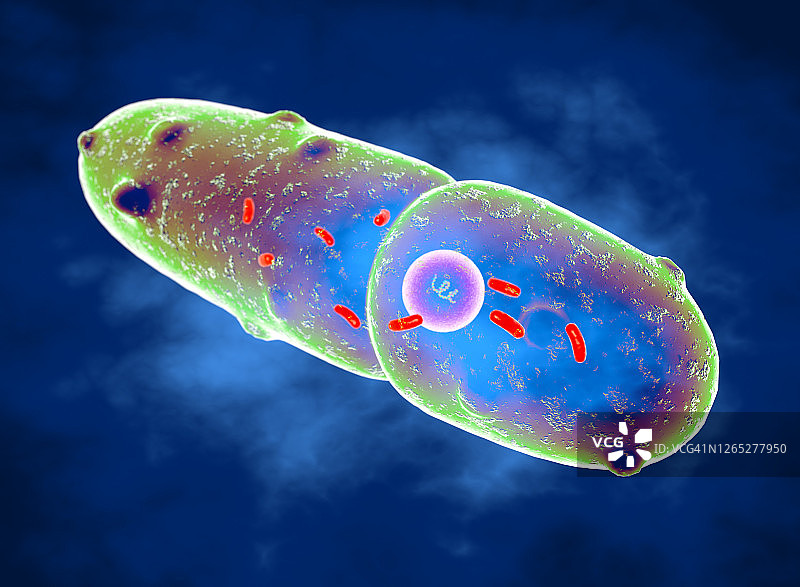 肺炎克雷伯菌细菌插图图片素材