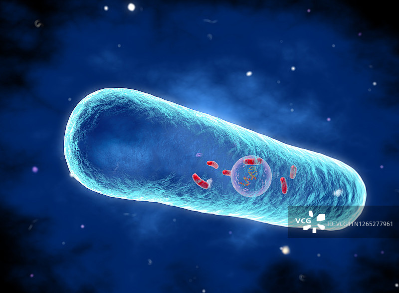 嗜肺军团菌细菌图片素材