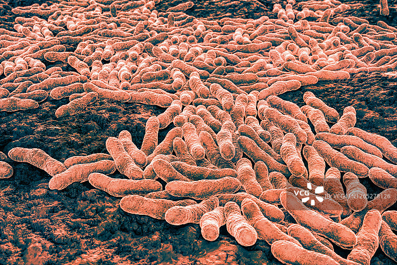 结核杆菌示意图图片素材