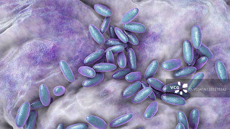 鼠疫耶尔森菌插图图片素材