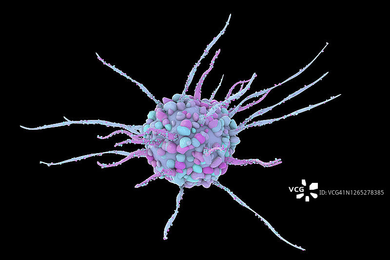 树突状细胞，图示图片素材