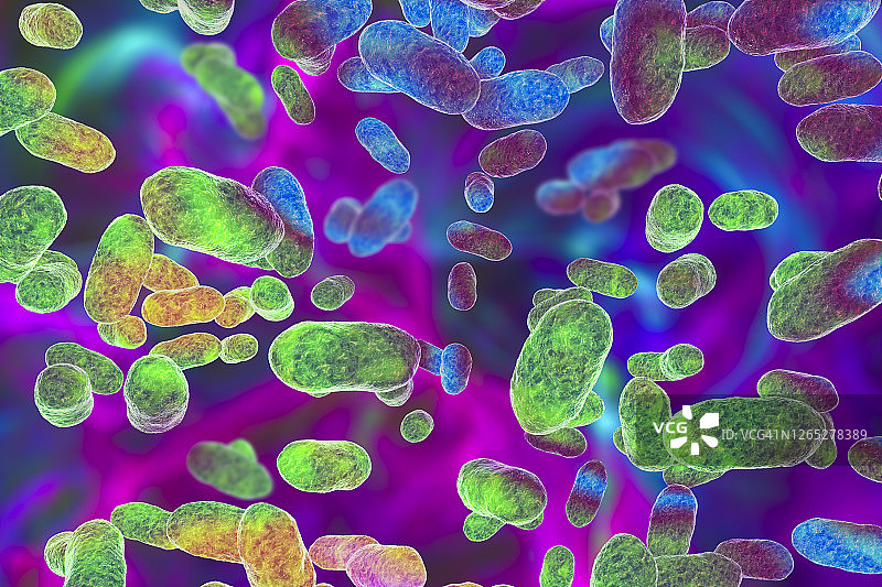 牙龈卟啉单胞菌口腔细菌插图图片素材